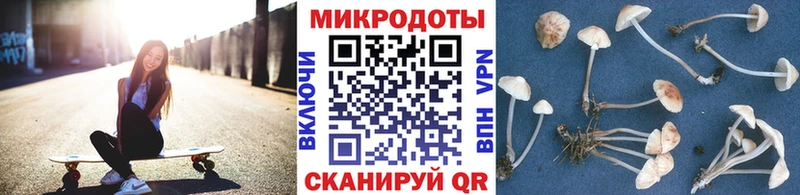 Псилоцибиновые грибы Psilocybe  Купить где  Всеволожск 