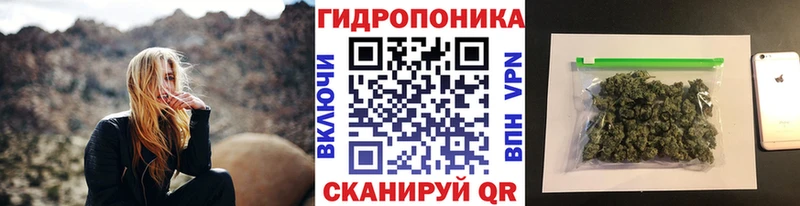 Купить где  Всеволожск  Каннабис Amnesia 